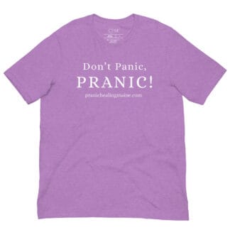 Don't Panic, Pranic! (Unisex t-shirt)